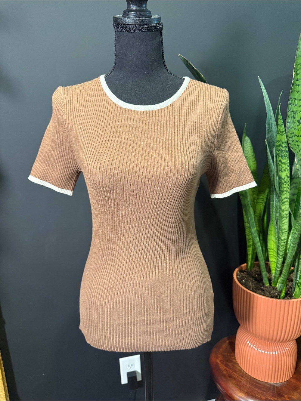 Ribbed Short-Sleeve Knit Top in Camel with White Trim
